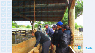 Taratahi Agricultural Training Centre thumbnail #20