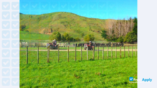 Taratahi Agricultural Training Centre photo #8