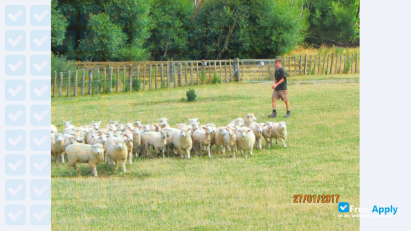Taratahi Agricultural Training Centre photo #35