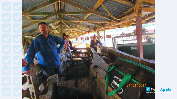 Taratahi Agricultural Training Centre photo #24