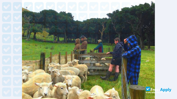 Taratahi Agricultural Training Centre photo #27