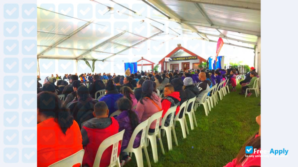 Photo de l’Te Whare Wānanga o Awanuiarangi #14