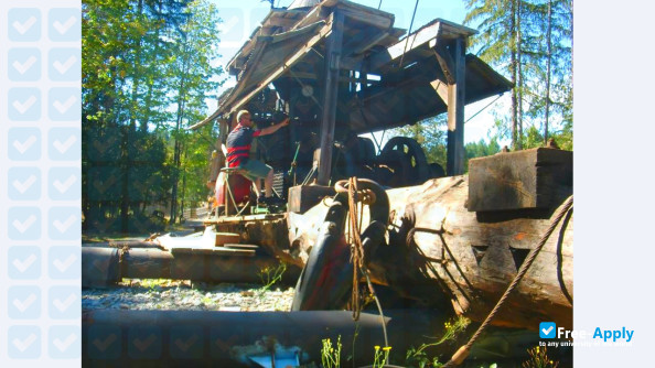 University of Canterbury New Zealand School of Forestry photo #25