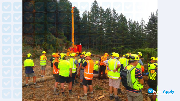 University of Canterbury New Zealand School of Forestry photo #18