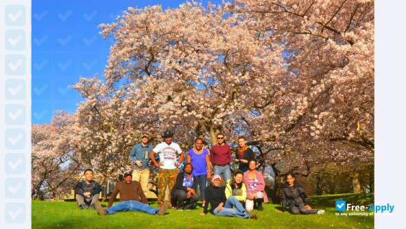 University of Canterbury New Zealand School of Forestry photo