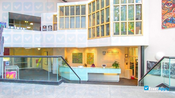 Foto de la Whitecliffe College of Arts and Design #1