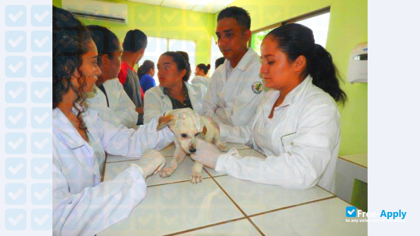 Central University of Nicaragua photo #10