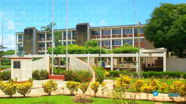 National Agricultural University фотография №2