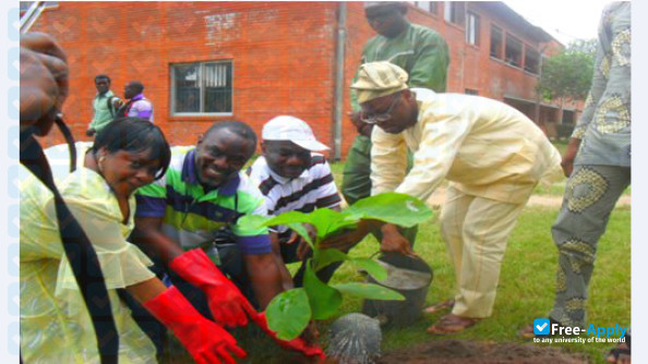 Adeniran Ogunsanya College of Education photo