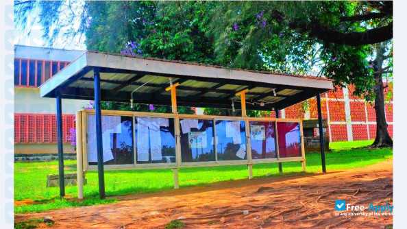Adeyemi College of Education Ondo photo #2