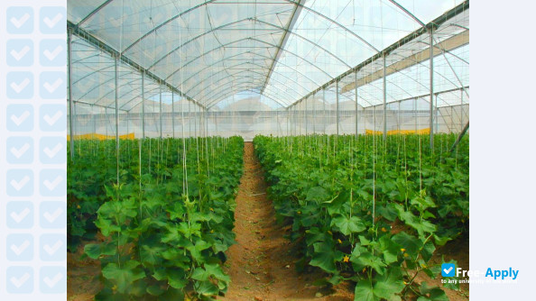 College of Agriculture Jalingo Taraba State photo #4