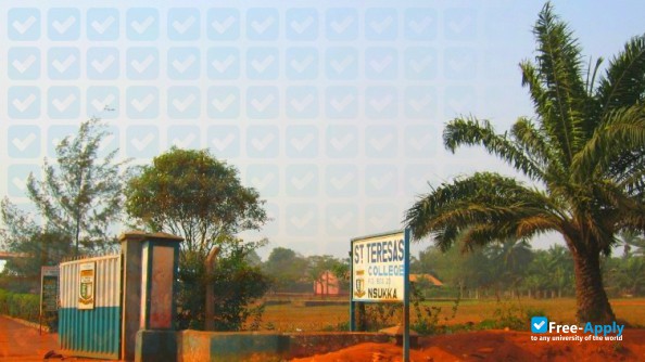 College of Education Nsukka фотография №4