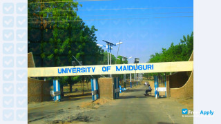 University of Maiduguri thumbnail #7
