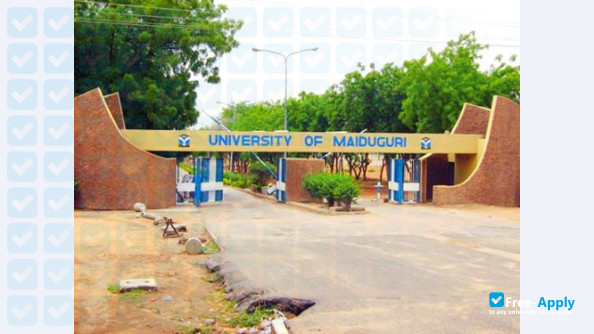 University of Maiduguri photo #8