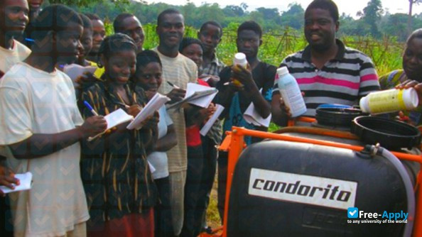 Foto de la Federal College of Agriculture Akure #11