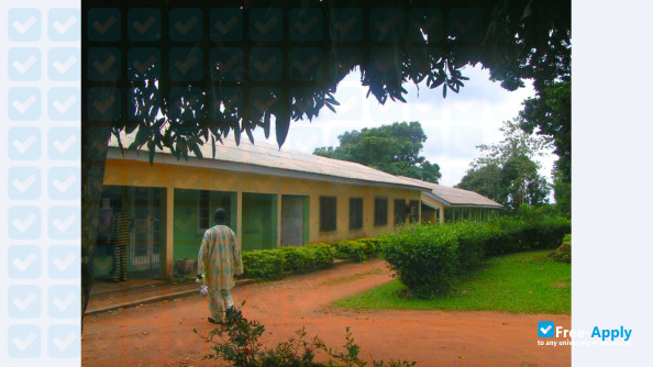 Foto de la Federal College of Agriculture Akure #3