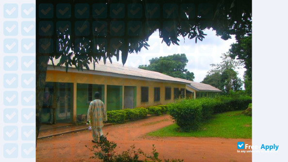 Foto de la Federal College of Agriculture Akure #9