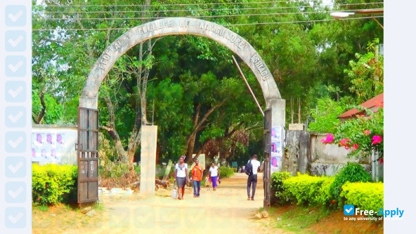 Federal College of Agriculture Ishiagu фотография №5