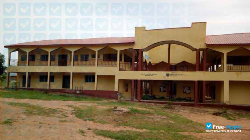 Foto de la Federal College of Education Akoka #4
