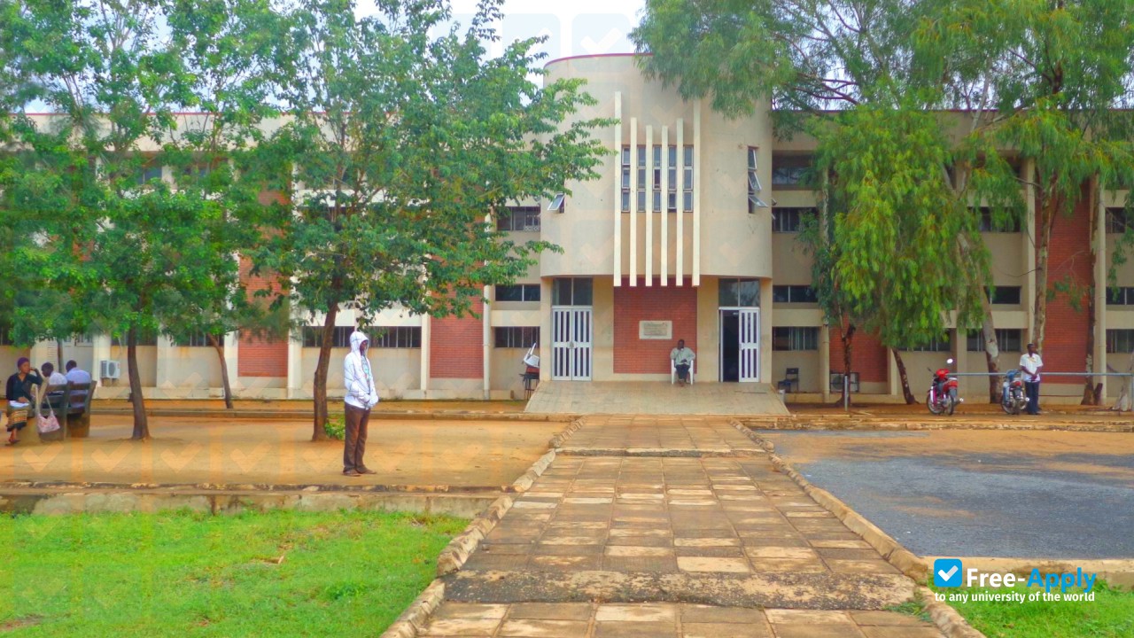 Federal Polytechnic Bauchi photo #9