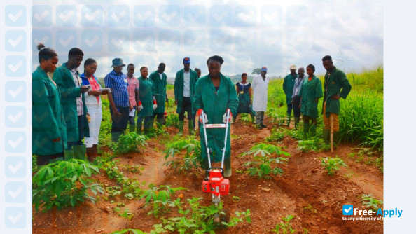 Foto de la Federal University of Agriculture Makurdi