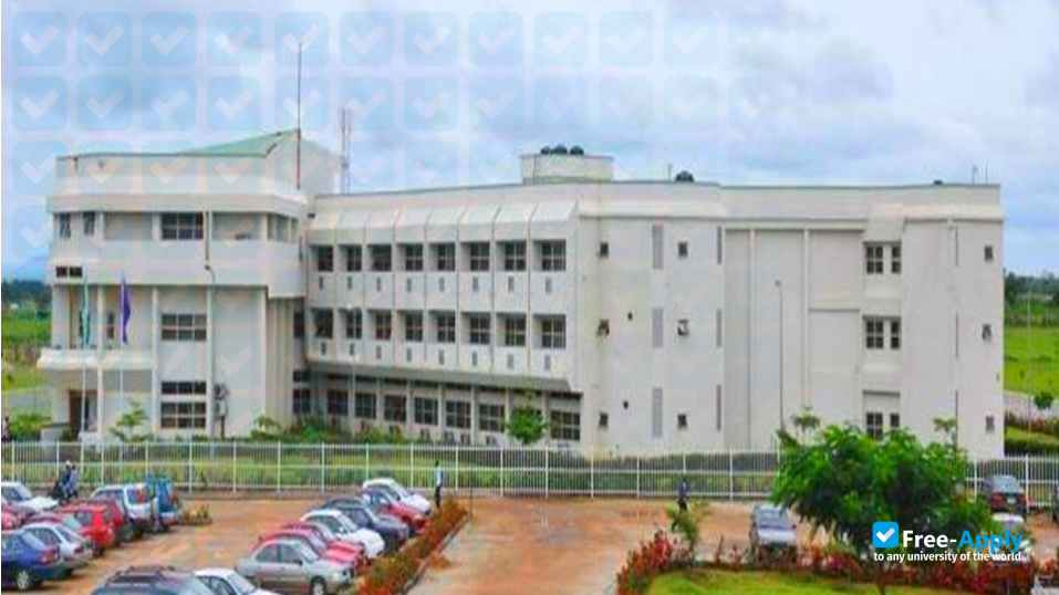 Foto de la Federal University of Technology Minna #4