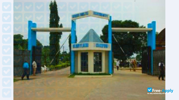 Niger Delta University photo #1