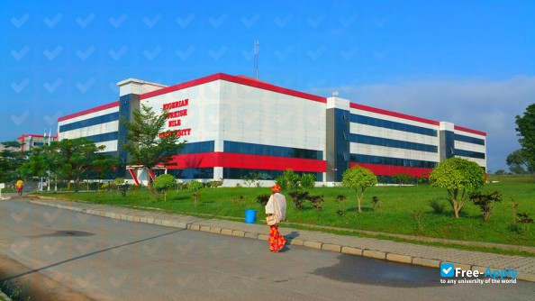 Nile University of Nigeria photo #6