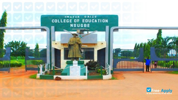 Nwafor Orizu College of Education Nsugbe photo #5