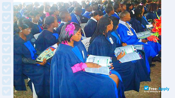 Foto de la Federal School of Dental Technology and Therapy Enugu #4