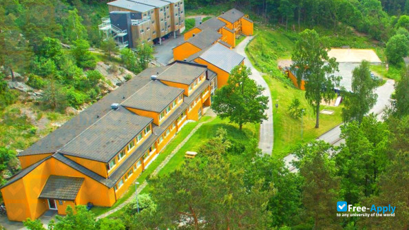 Ansgar School of Theology and Mission photo #7