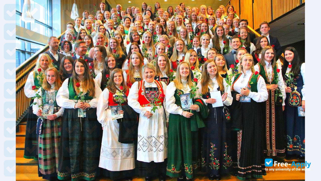 Western Norway University of Applied Sciences photo #7
