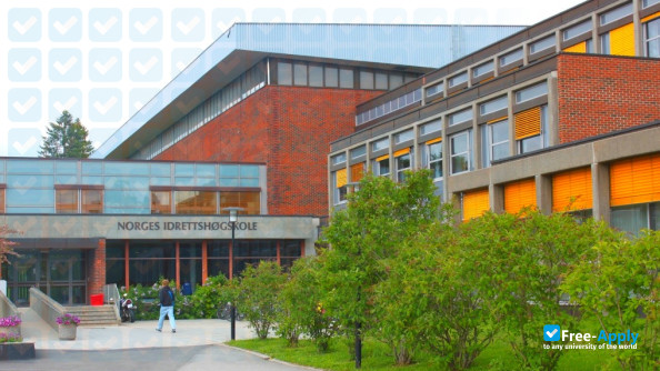 Foto de la Norwegian University for Sport and Physical Education #11
