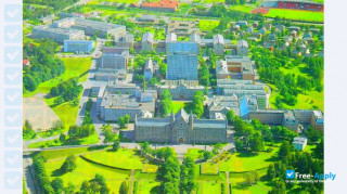 Norwegian University of Science & Technology vignette #2