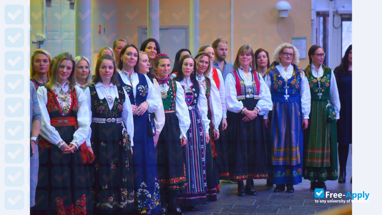 Diakonhjemmet University College photo #8