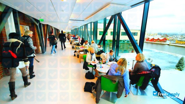 Photo de l’Ostfold University College #6