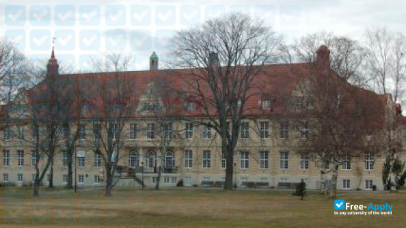 Queen Maud's College of Early Childhood Education photo #3