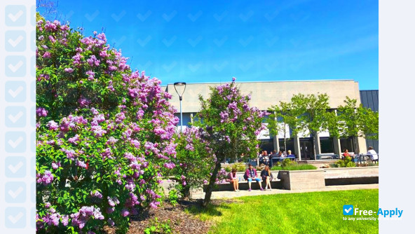 Telemark University College photo #10
