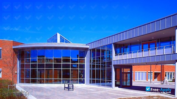 Telemark University College photo #8
