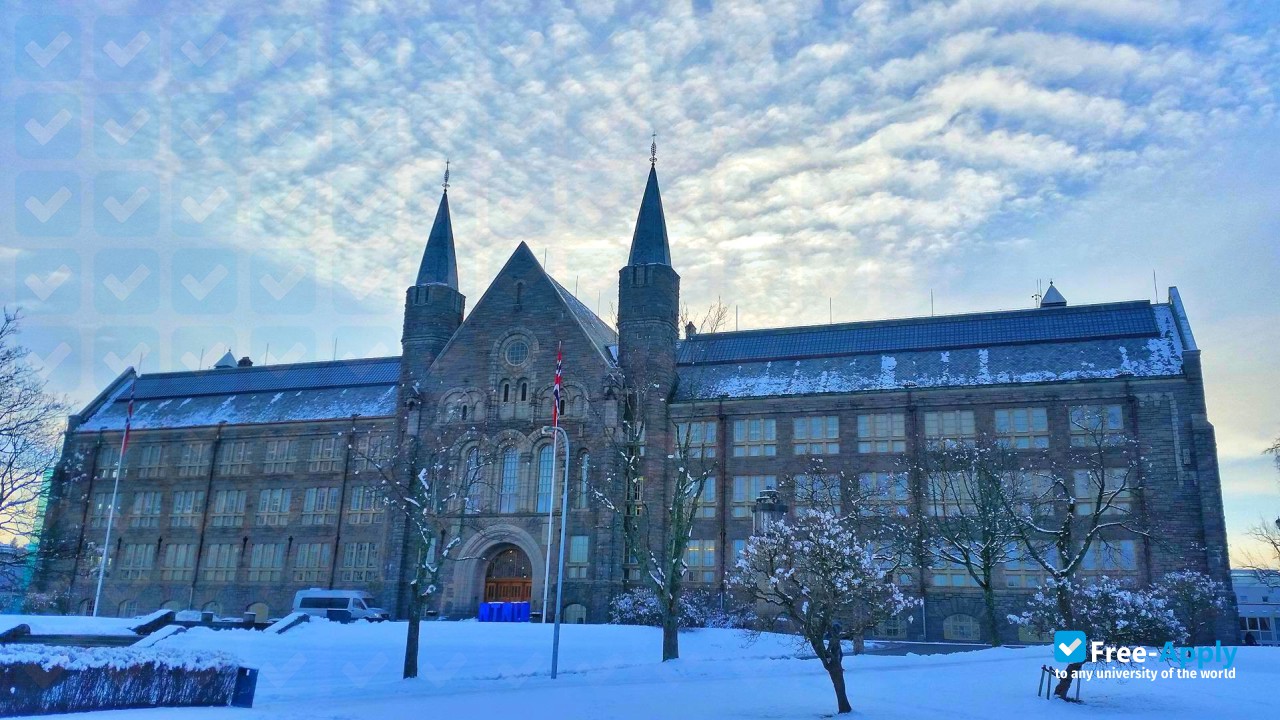 Gjovik University College photo #7