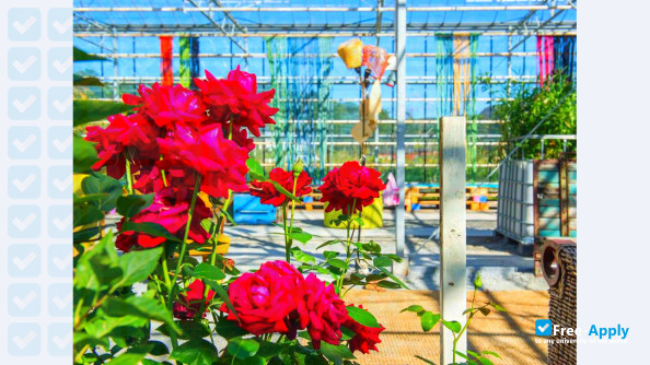 The College of Agriculture and Rural Development photo #5