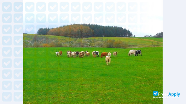 Foto de la The College of Agriculture and Rural Development #5