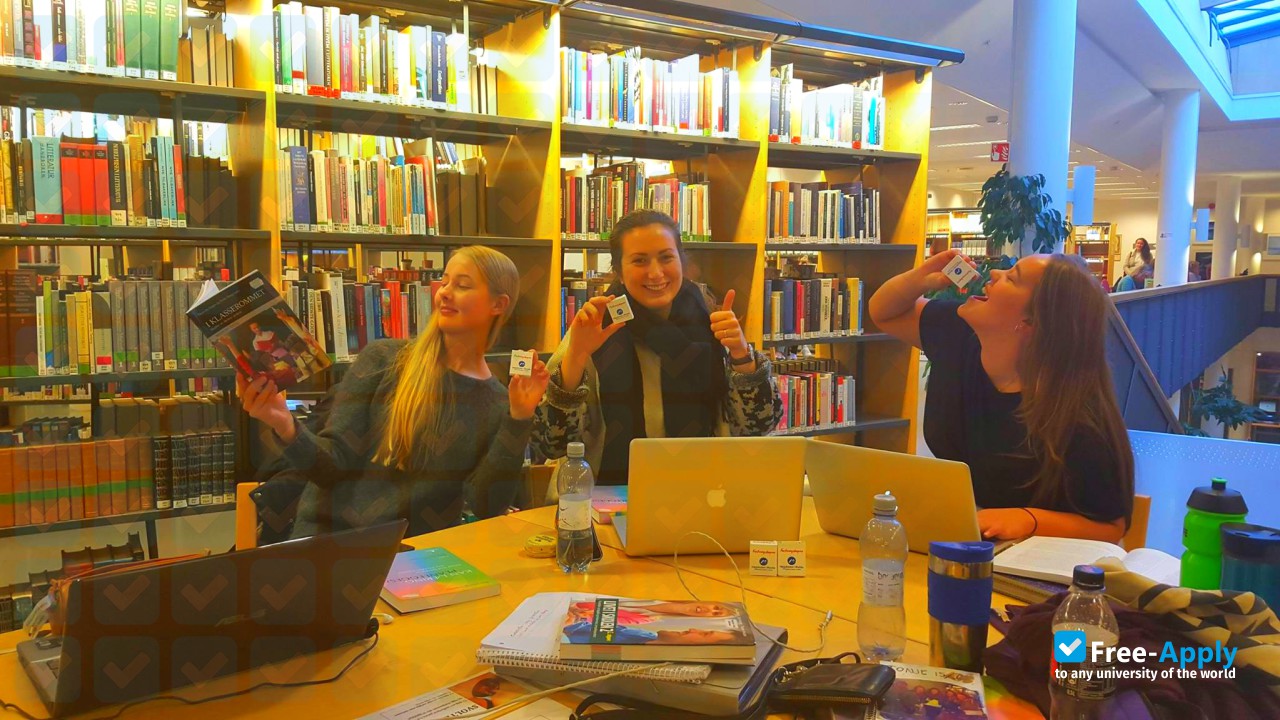 Molde University College photo #11