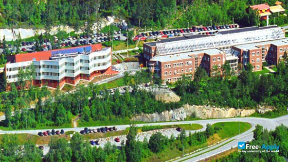 Molde University College photo