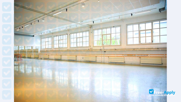 Foto de la Norwegian School of Dance #10