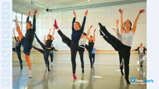 Norwegian School of Dance vignette #4