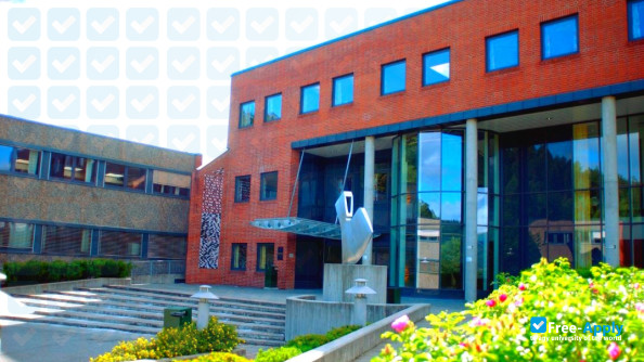 University College of Southeast Norway photo