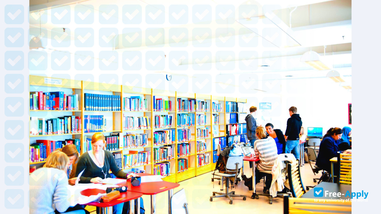 University College of Southeast Norway photo #12