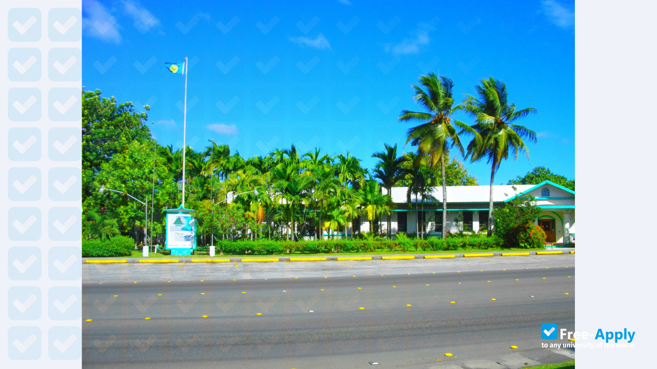 Photo de l’Palau Community College #7