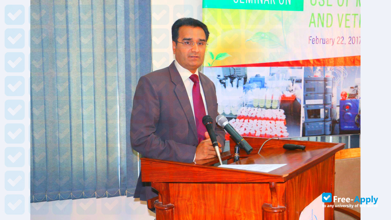 Foto de la Allama Iqbal Open University #6